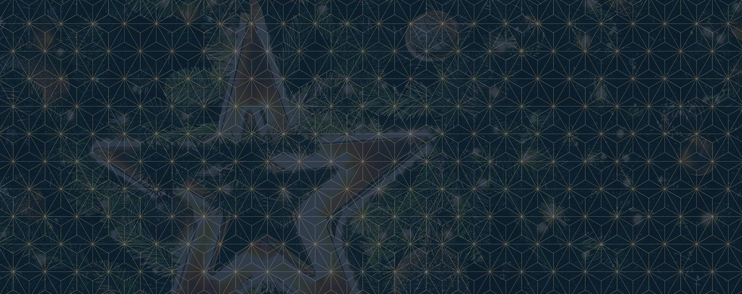 The Parkgate Hotel Christmas Background