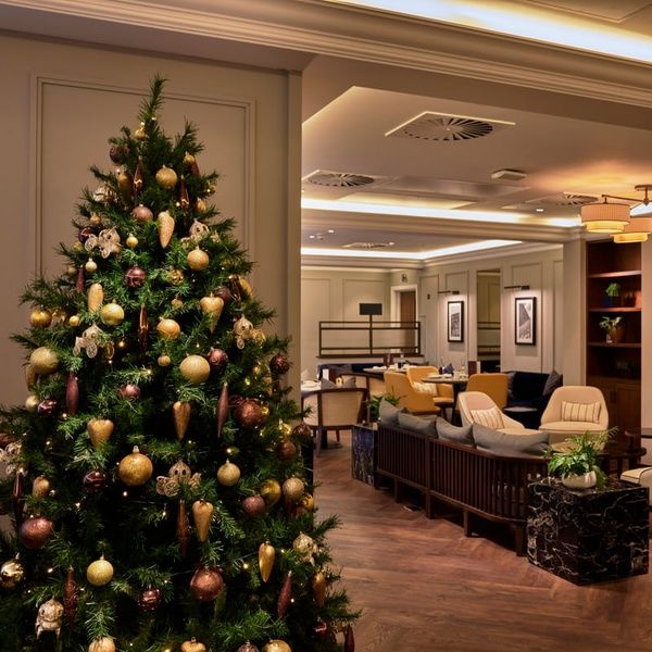 Parkgate Festive Stays