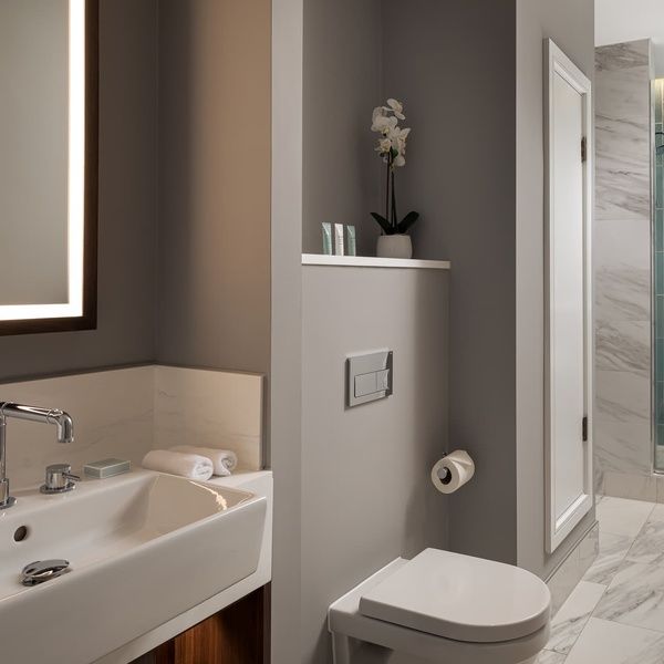 Deluxe Junior Suite with Balcony Washroom