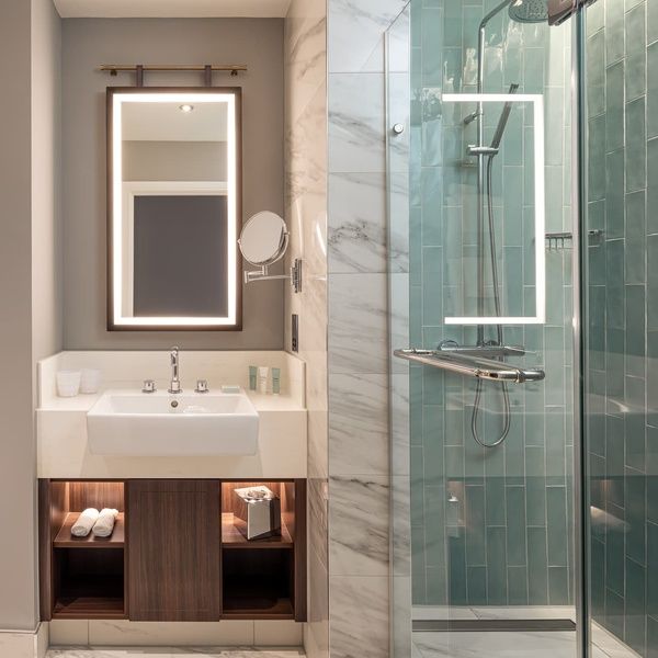 Deluxe King with Sofa Bed Washroom