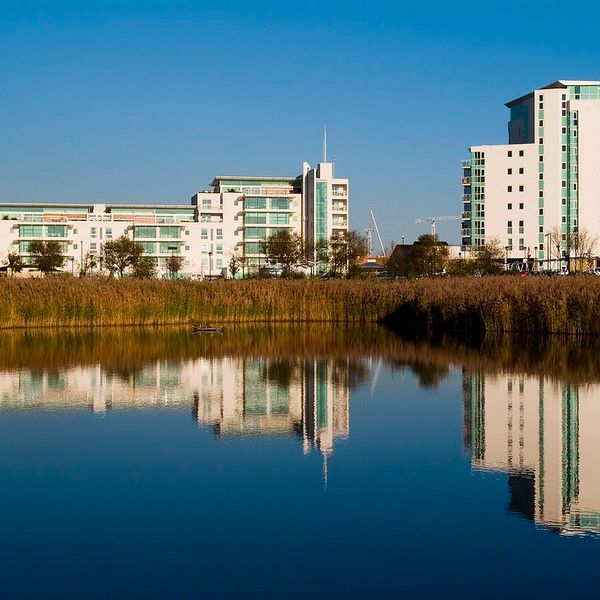 Cardiff Bay Wetland Reserve