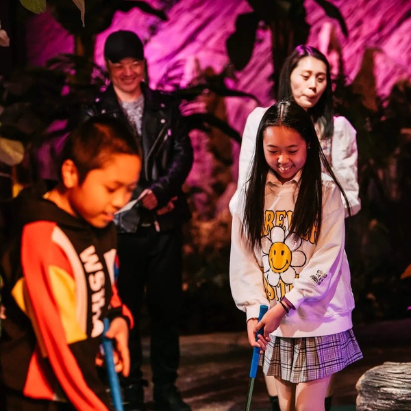 Treetop Adventure Golf