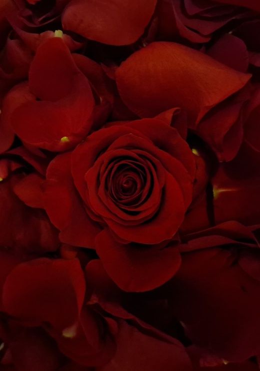 Rose Petals Room Service Extras