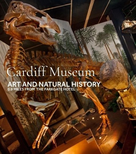 Cardiff Museum