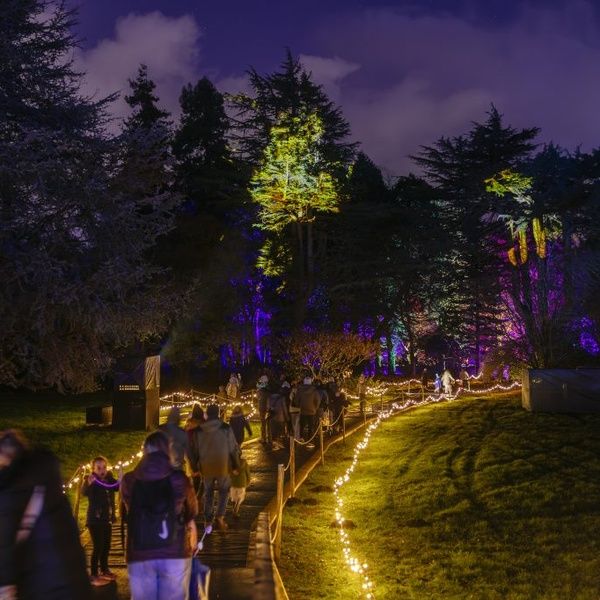 Christmas at Bute Park
